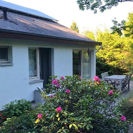 Villa Des Grues A Filly Houffalize Exterior foto